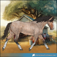 Horse Color:White Spotted Bay Roan Dun 