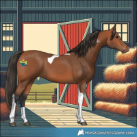Horse Color:Bay Tobiano 