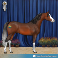 Horse Color:Bay Splash 