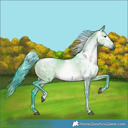 Horse Color:Gray Watercolor Bay Dun Tobiano 