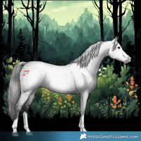 Horse Color:Gray Black 