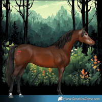 Horse Color:Gray Bay 