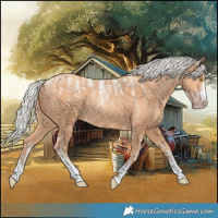 Horse Color:Powder White Silver Amber Champagne 