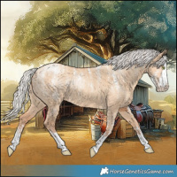 Horse Color:Powder White Silver Amber Champagne Dun 