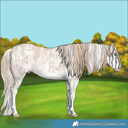Horse Color:Smoky Creme Sabino  and Smoky Creme Sabino Splash 