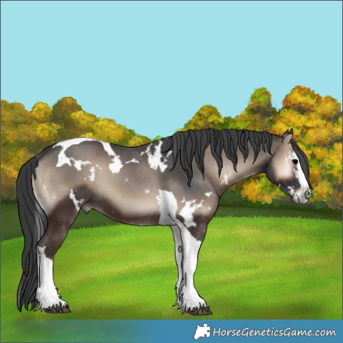 Horse Color:White Spotted Blue Onyx Splash Tobiano 