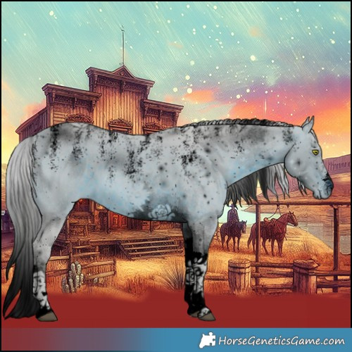 Horse Color:ERROR: UNKNOWN ANOMALY