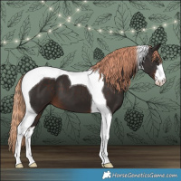 Horse Color:White Spotted Liver Chestnut Tobiano 