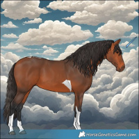 Horse Color:Bay Tobiano