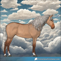 Horse Color:Silver Bay Dun 