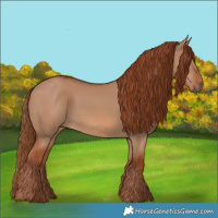 Horse Color:Red Dun 