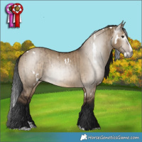 Horse Color:Gray White Spotted Brown Dun Splash Brindle 