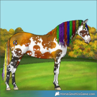 Horse Color:Painted White Spotted Brown Splash 