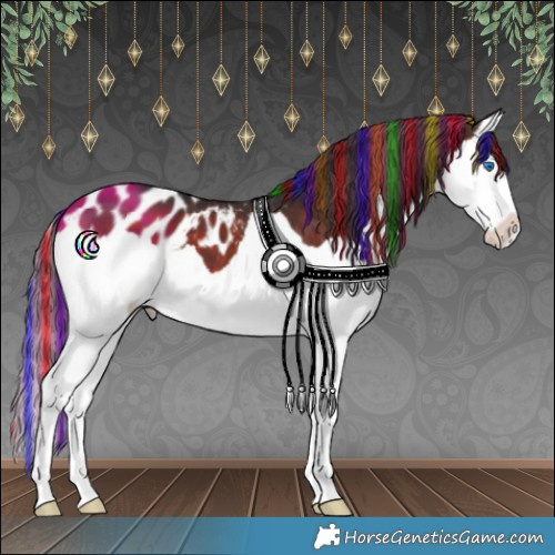 Horse Color:Painted Brown Splash Appaloosa 