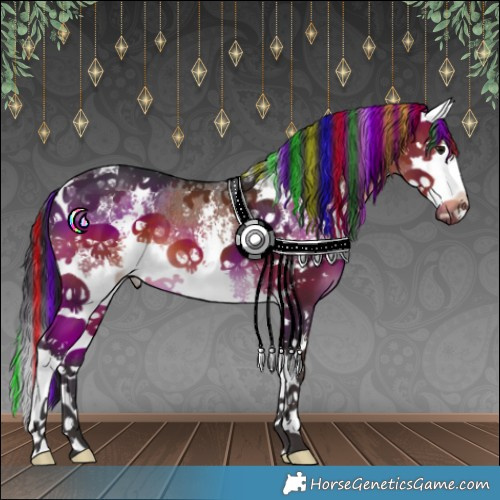 Horse Color:Painted Brown Sabino Splash 