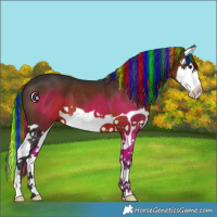 Horse Color:Painted Brown Splash 