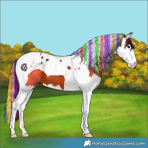 Horse Color:Painted Bay Splash Tobiano 