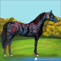 Horse Color:ERROR: UNKNOWN ANOMALY