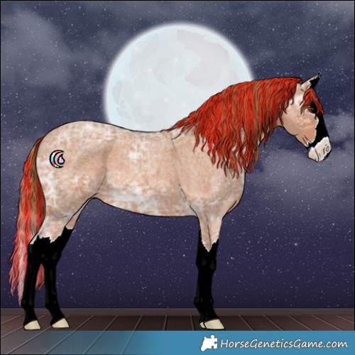 Horse Color:Painted Red Ice Roan Splash