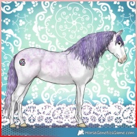 Horse Color:Watercolor White Spotted Buckskin Ice Splash 