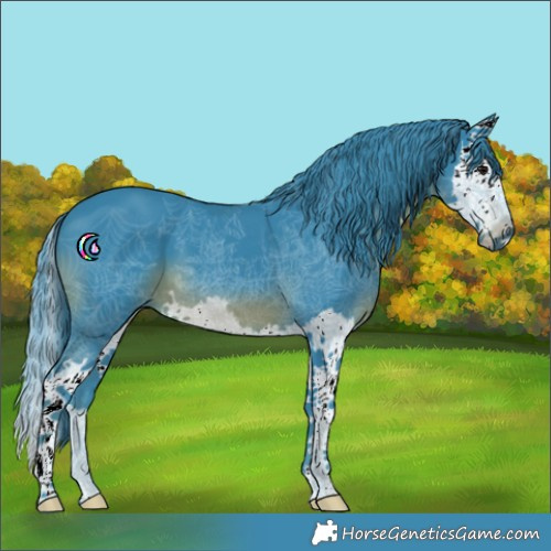 Horse Color:Watercolor Smoky Black Splash