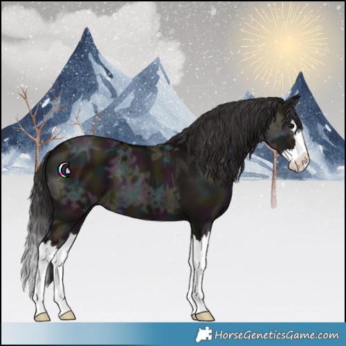 Horse Color:Midnight Smoky Grullo Ice Splash