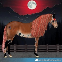 Horse Color:Painted Chestnut Splash 