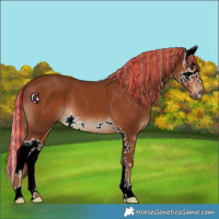 Horse Color:Painted Chestnut Splash