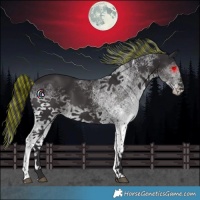 Horse Color:Painted White Spotted Smoky Black 