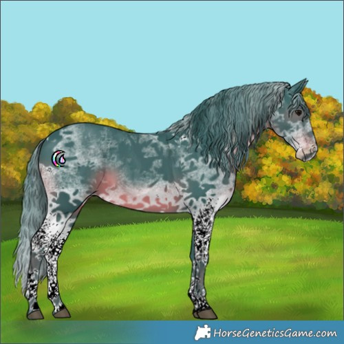 Horse Color:Watercolor White Spotted Black