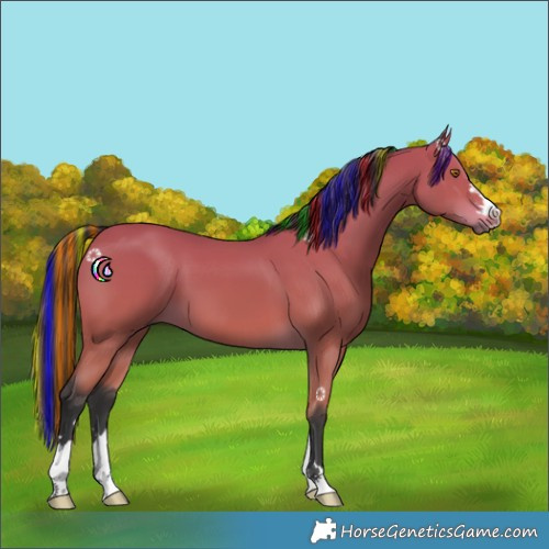 Horse Color:Painted Bay