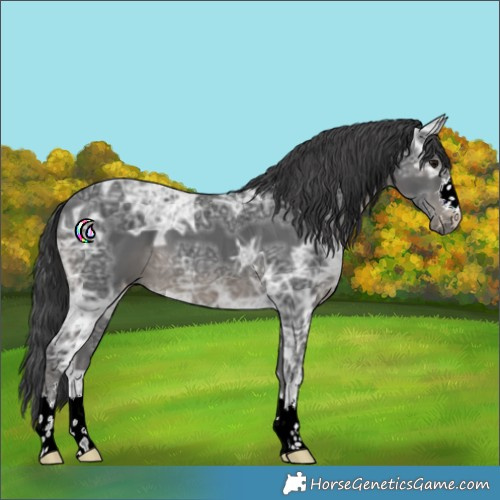 Horse Color:Black Ice