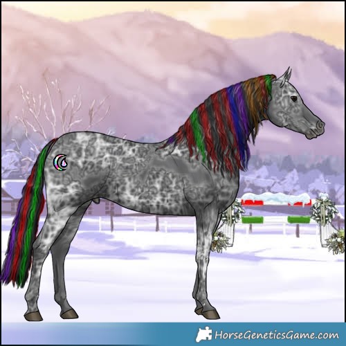 Horse Color:Painted Black Ice 