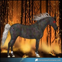 Horse Color:Midnight Silver Grullo Ice 