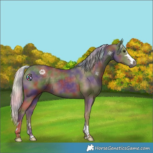 Horse Color:Nacre Silver Black