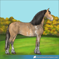 Horse Color:Silver Buckskin and Buckskin Sabino