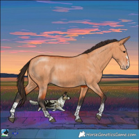 Horse Color:Bay Dun Brindle 