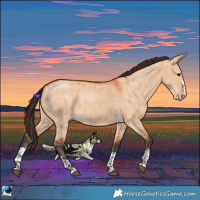 Horse Color:Bay Dun Brindle