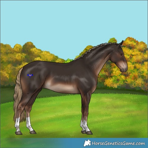 Horse Color:Liver Chestnut Tobiano Rabicano 