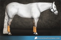 Horse Color:Gray Chocolate Palomino Roan Dun