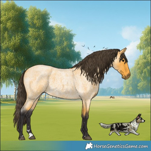 Horse Color:Buckskin Roan 