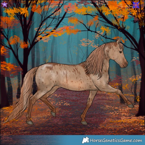 Horse Color:Red Dun Brindle 