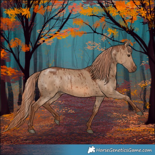 Horse Color:Red Dun Brindle