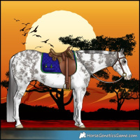 Horse Color:Smoky Grullo Sabino Rabicano 