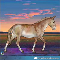 Horse Color:Red Dun Brindle 