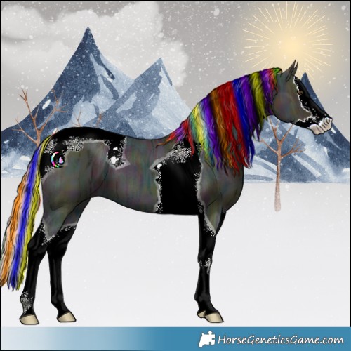 Horse Color:Painted Midnight Red Dun Ice Splash Tobiano 