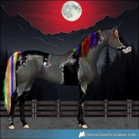 Horse Color:Painted Midnight Red Dun Ice Splash Tobiano 