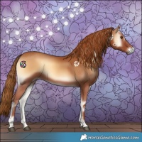 Horse Color:Red Onyx 