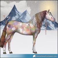 Horse Color:Nacre Red Dun Ice Tobiano 