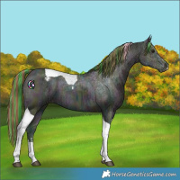 Horse Color:Painted Watercolor Midnight Bay Ice Tobiano Appaloosa